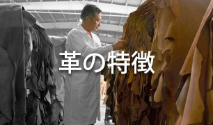 革の特徴