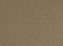 BR 286E
Brandy