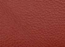 BR 287E
Cocoa