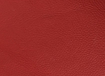 AN 945B
Scarlet