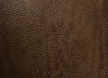 BR 287E
Cocoa