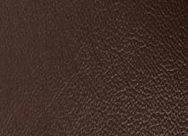 BV 298A
Chocolate
