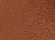 BV 891C
Tangerine