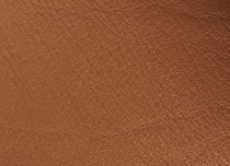 GN 600D
Caramel