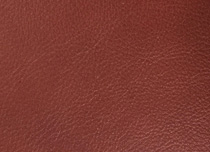 MB 441C
Red