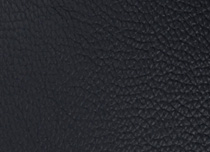 NC 036C
Navy