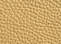 NC-385E (Apricot Brandy)